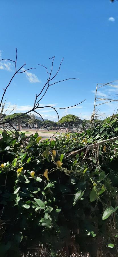 Les Iles D'Or Au Port De Hyeres Grand Studio Climatise Dış mekan fotoğraf